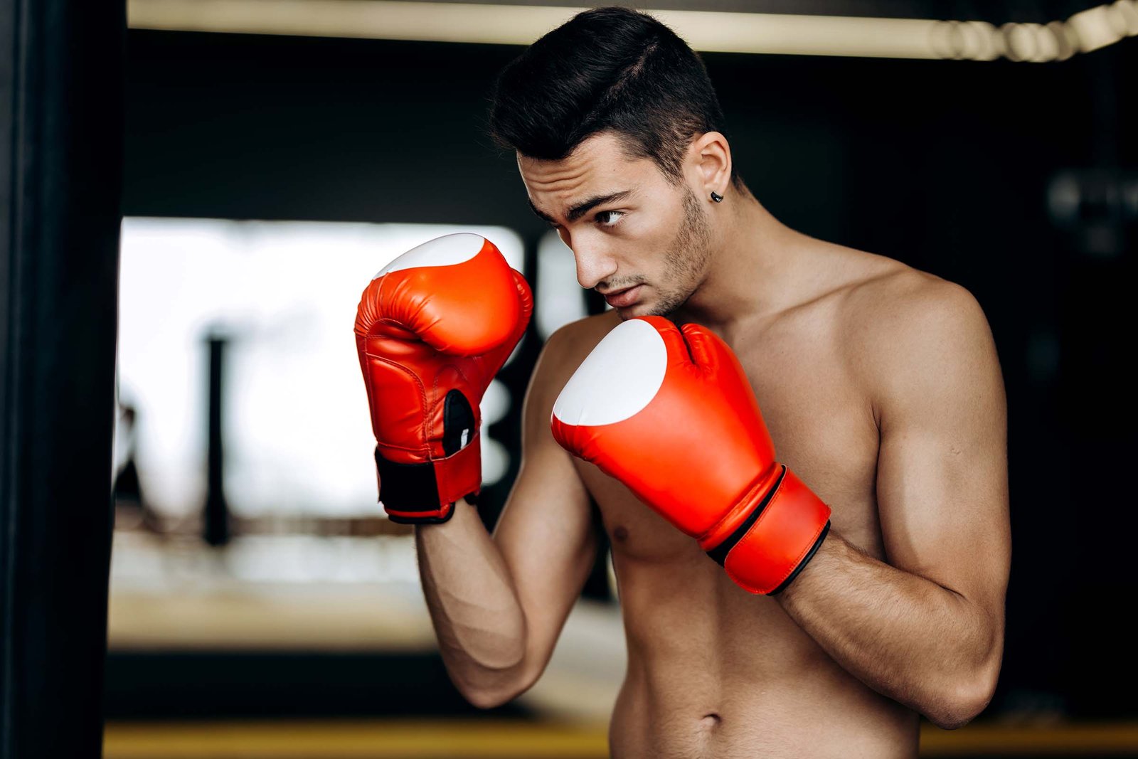 Read more about the article What is Mixed Martial Art and what are the basic types of MMA?